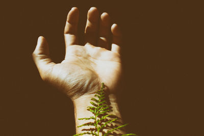 Close-up of human hand against gray background