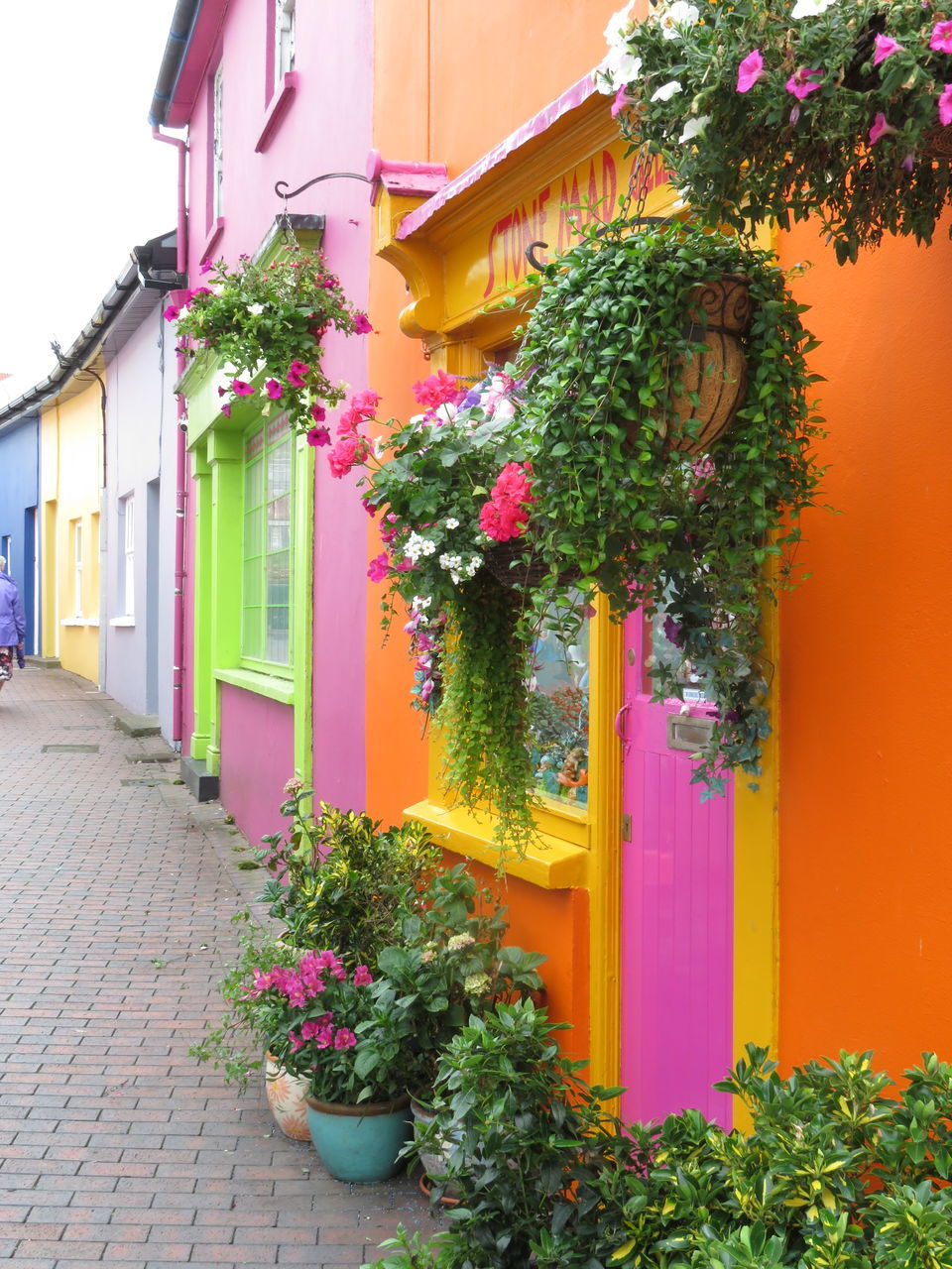 VIEW OF POTTED PLANTS ON FOOTPATH