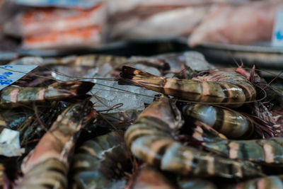 Full frame shot of food for sale in market