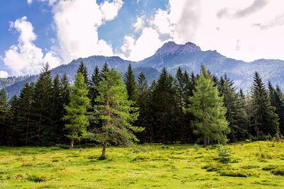 Sankt Ulrich Am