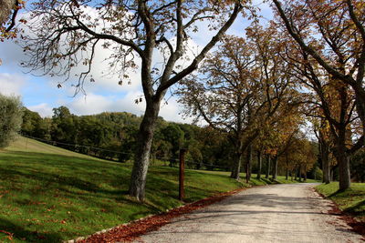 Road amidst trees against sky