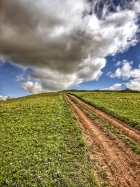 Scenic view of agricultural field against sky