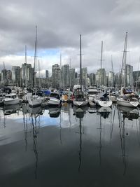 Sailboats moored in harbor