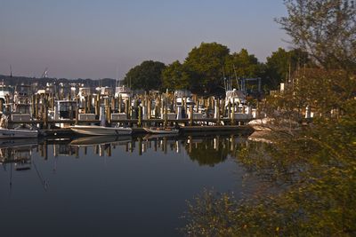 Scenic view of calm lake