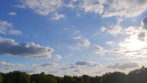 Low angle view of trees against sky