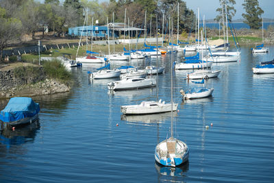 Sailboats in the river 