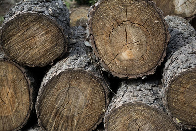 Full frame shot of logs