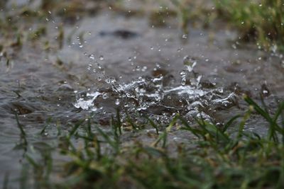 Close-up of raindrops on water