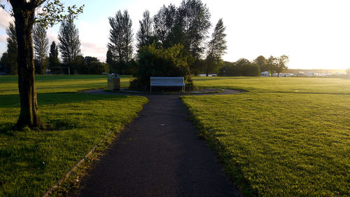 Trees on field in park against clear sky