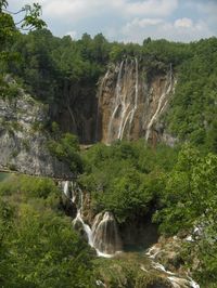 Scenic view of waterfall in forest