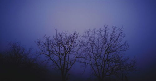 Low angle view of silhouette bare tree against sky at night