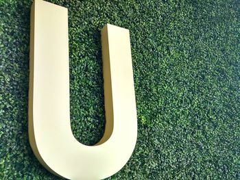 High angle view of grass