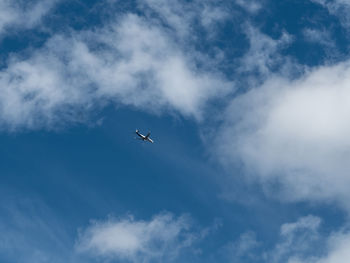 Low angle view of bird flying in sky