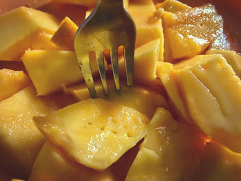 Close-up of fresh vegetables on plate