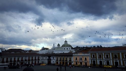 Low angle view of bird flying against cloudy sky