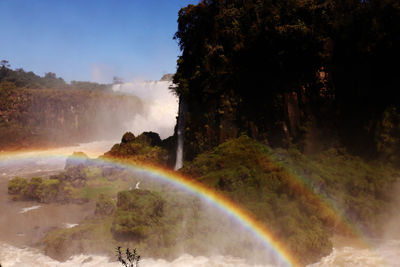 Scenic view of rainbow over forest
