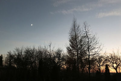 Silhouette trees against sky