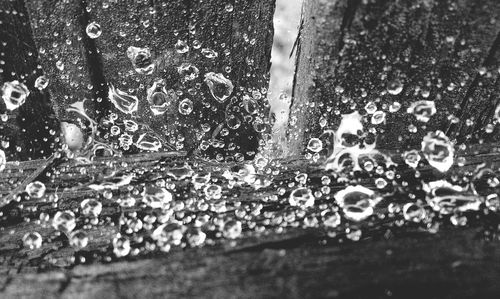 Close-up of raindrops on car windshield