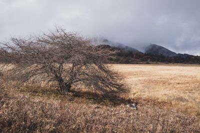 Scenic view of land against sky