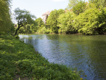 Scenic view of river amidst trees against sky