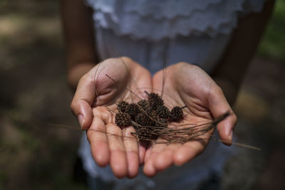 Midsection of woman holding dry plants