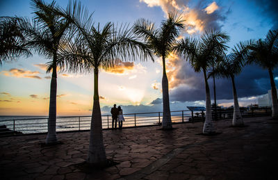 Silhouette palm trees on beach against sky during sunset