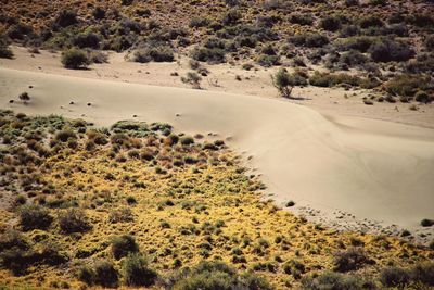 Scenic view of desert