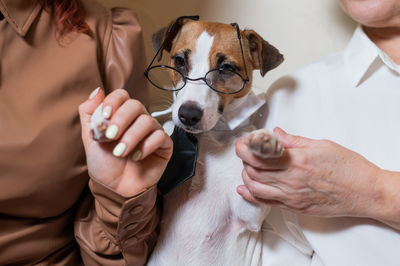 Midsection of woman holding dog