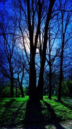 Silhouette trees on field against sky