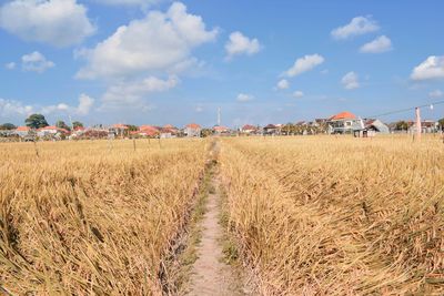 Panoramic view of field against sky