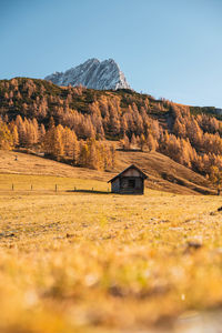 Wooden cabin in colorful autumn landscape above a sea of clouds, filzmoos, salzburg, austria.