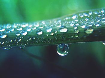 Close-up of water drops on leaf