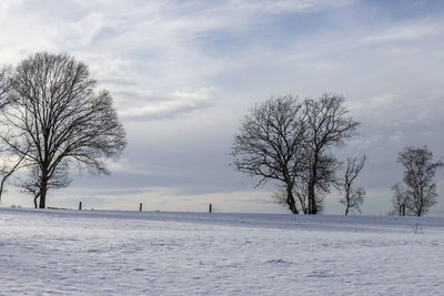 Bare tree on snow field against sky