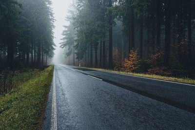 Empty road along trees in forest