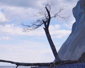 Low angle view of bare tree against cloudy sky