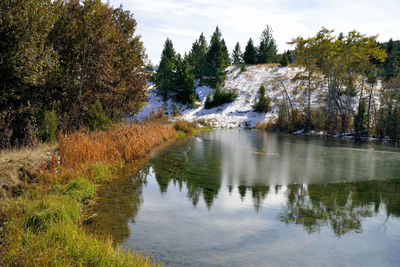 Scenic view of lake against trees in forest
