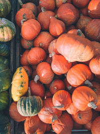 Full frame shot of pumpkins for sale at market stall