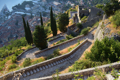Aerial view of a city