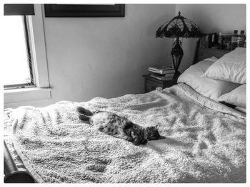 Bed lying on bed