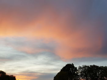 Low angle view of silhouette trees against orange sky