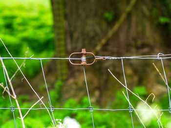 Close-up of barbed wire fence on field