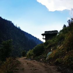 Trees by mountain against sky