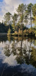 Reflection of trees in lake against sky