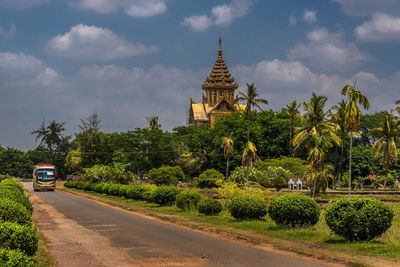 Road along trees