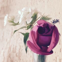 Close-up of rose bouquet in vase against wall