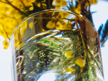 Close-up of glass on table