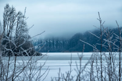 Snow covered land and trees against sky