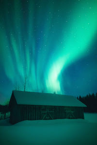 Scenic view of forest against sky at night