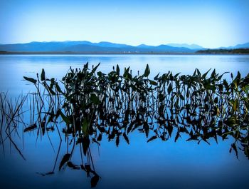 Calm lake with mountains in background