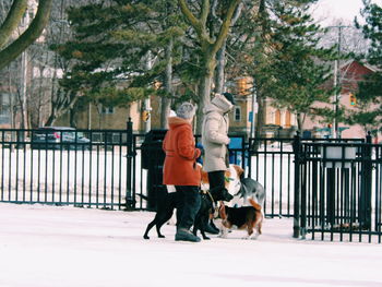 Woman with dog walking in park during winter